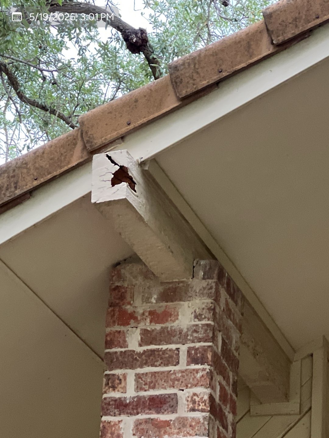 Damaged exterior beam end and fascia area requiring repair
