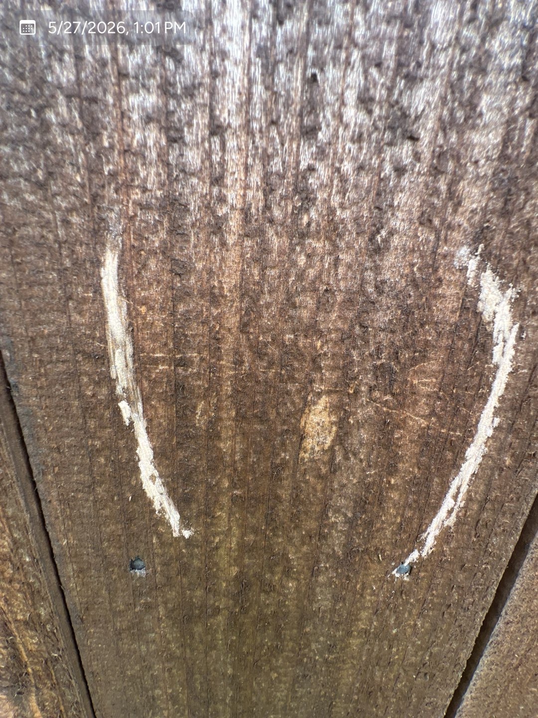 Impact area marked on an exterior wood surface during an MVP inspection